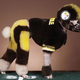 Illustration for article titled All Steeler Fans Are Basically Puppy Murderers
